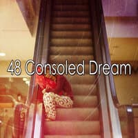 48 Consoled Dream