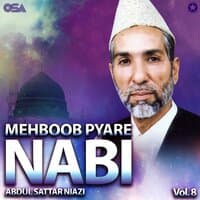 Mehboob Pyare Nabi, Vol. 8