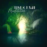 Forest & Jungle Meditation: Mindfulness, Relaxation and Stress-Relief with Finest Selection of Nature Background Music