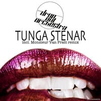 Tunga Stenar