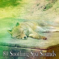 80 Soothing Spa Sounds