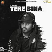 Tere Bina