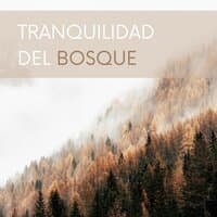 Tranquilidad del Bosque: La Música Más Relajante con los Sonidos de la Naturaleza más Hermosos