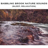 Babbling Brook Nature Sounds (Sleep, Relaxation)