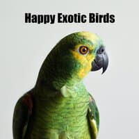 Happy Exotic Birds