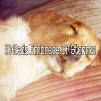 30 Beds Embrace of Storms