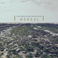 Boréal