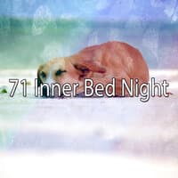 71 Inner Bed Night