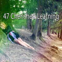 47 Cherished Learning