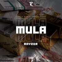 Mula