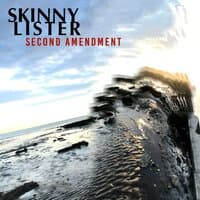 Second Amendment