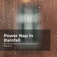 Power Nap in Rainfall