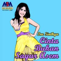 Cinta Bukan Sayur Asem