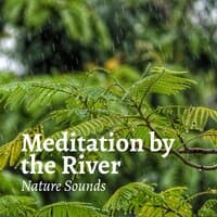 Meditation by the River