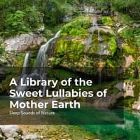 A Library of the Sweet Lullabies of Mother Earth