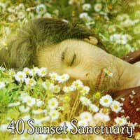 40 Sunset Sanctuary