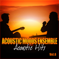 Acoustic Hits Vol. 6