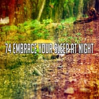 74 Embrace Your Sleep at Night