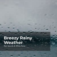 Breezy Rainy Weather