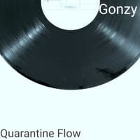 Quarantine Flow