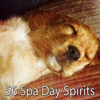 56 Spa Day Spirits