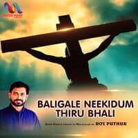 Baligale Neekidum Thiru Bhali - Single