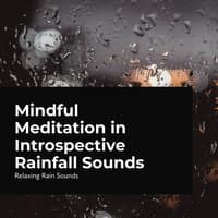 Mindful Meditation in Introspective Rainfall Sounds