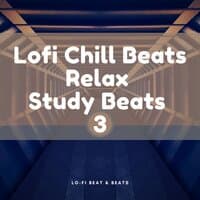 Lofi Chill Beats, Relax, Study Beats 3