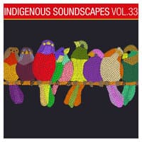 Indigenous Soundscapes, Vol. 33