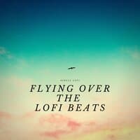 Flying Over the Lofi Beats