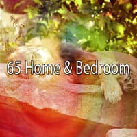 65 Home & Bedroom