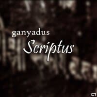 Scriptus