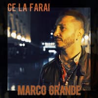 Ce la farai