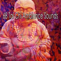 68 Tai Chi Ambience Sounds