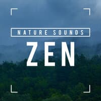 Nature Sounds Zen