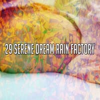 29 Serene Dream Rain Factory