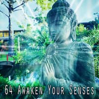 64 Awaken Your Senses