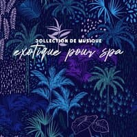 Collection de musique exotique pour spa – Relaxation profonde, massage et soins du corps, repos curatif avec des sons New Age