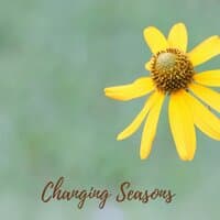 Changing Seasons