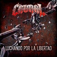 Luchando por la Libertad