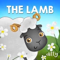 The Lamb