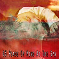 63 Peace of Mind at the Spa