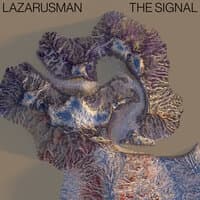 The Signal