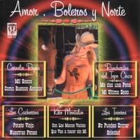 Amor Boleros y Norte