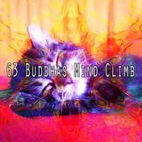 63 Buddhas Mind Climb