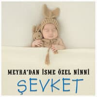 Şevket İsmine Özel Ninni