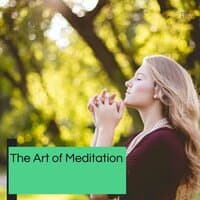 The Art Of Meditation