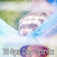 75 Spa Day Spirits