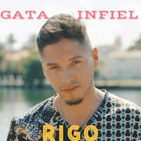 Gata Infiel