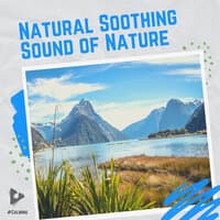 Natural Soothing Sound of Nature